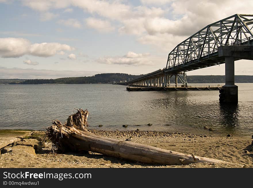 Seattle, Washington -- a fallen tree trunk lying on the shore where bridges are risen. The irony of it all. Seattle, Washington -- a fallen tree trunk lying on the shore where bridges are risen. The irony of it all.