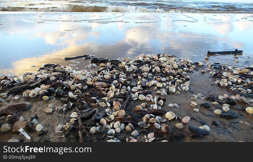 Reflection of skies and clouds in the sea with shells. Reflection of skies and clouds in the sea with shells