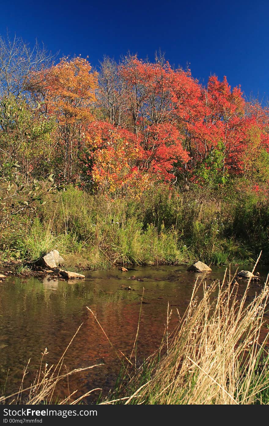 Autumn Reflections