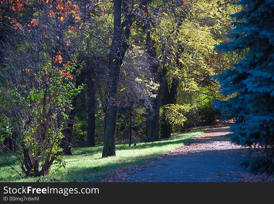 Autumn Alley 1