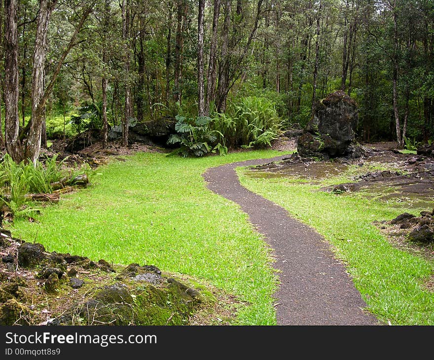 Garden Pathway