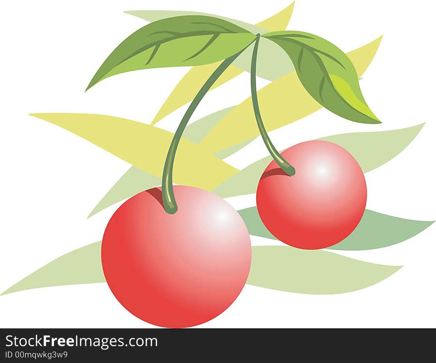 Illustration of berries with leaves