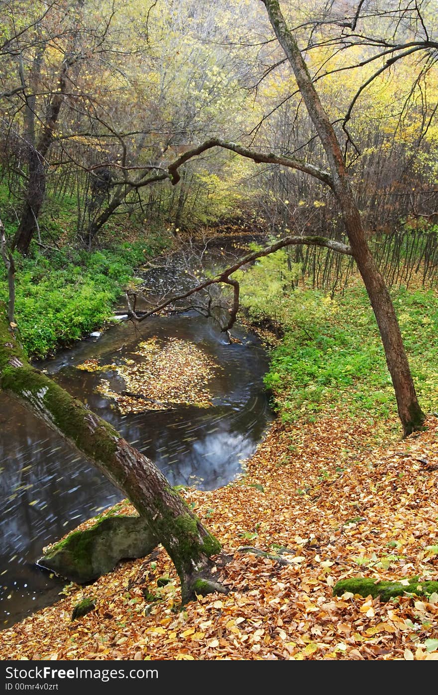 An image of a river in mountain forest