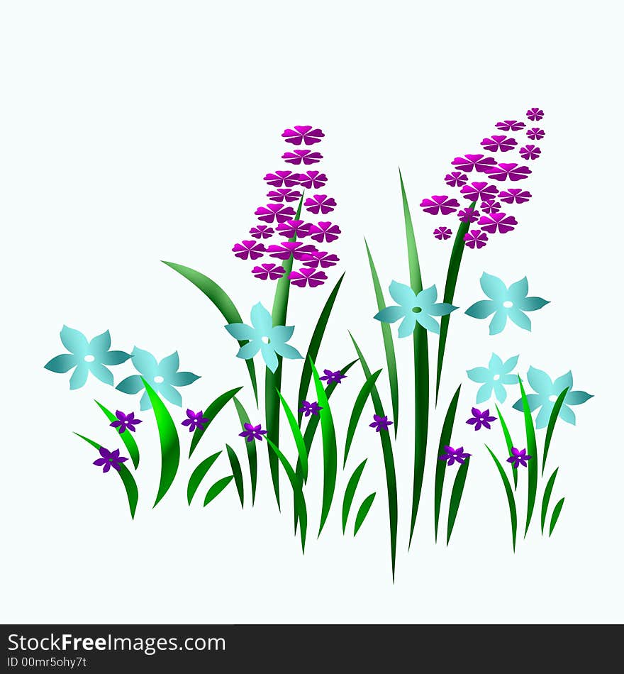 Colorful spring flower garden  on white  background. Colorful spring flower garden  on white  background