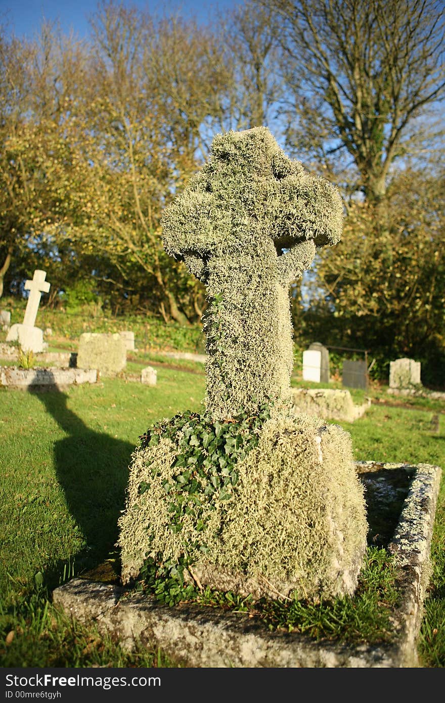 Very old gravestone covered in ivy in a graveyard in cornwall