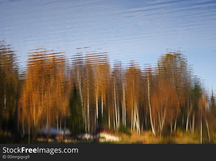 Water reflections. Lithuania, Verkiu regional park. Water reflections. Lithuania, Verkiu regional park.