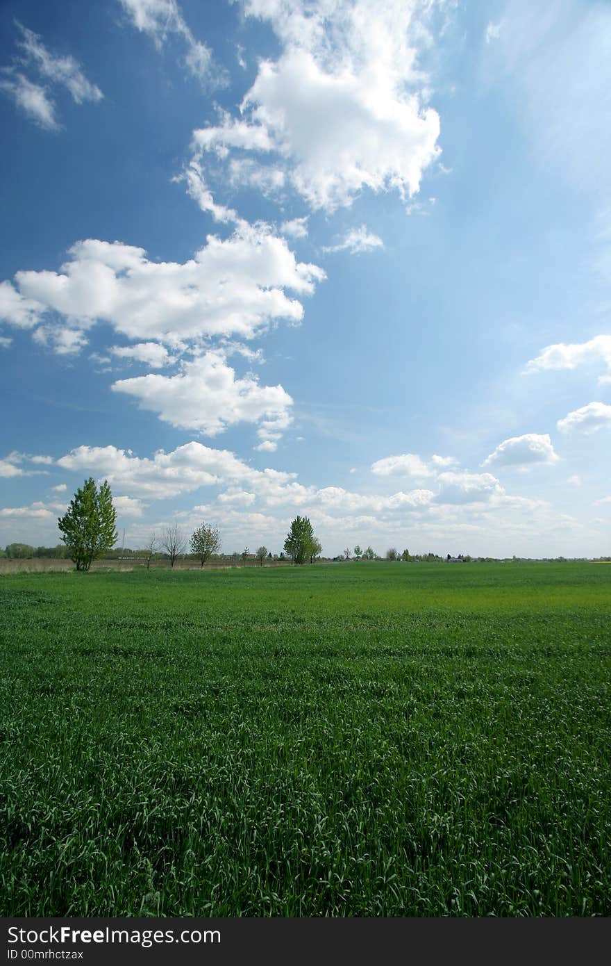 The green field and blue sky 6.