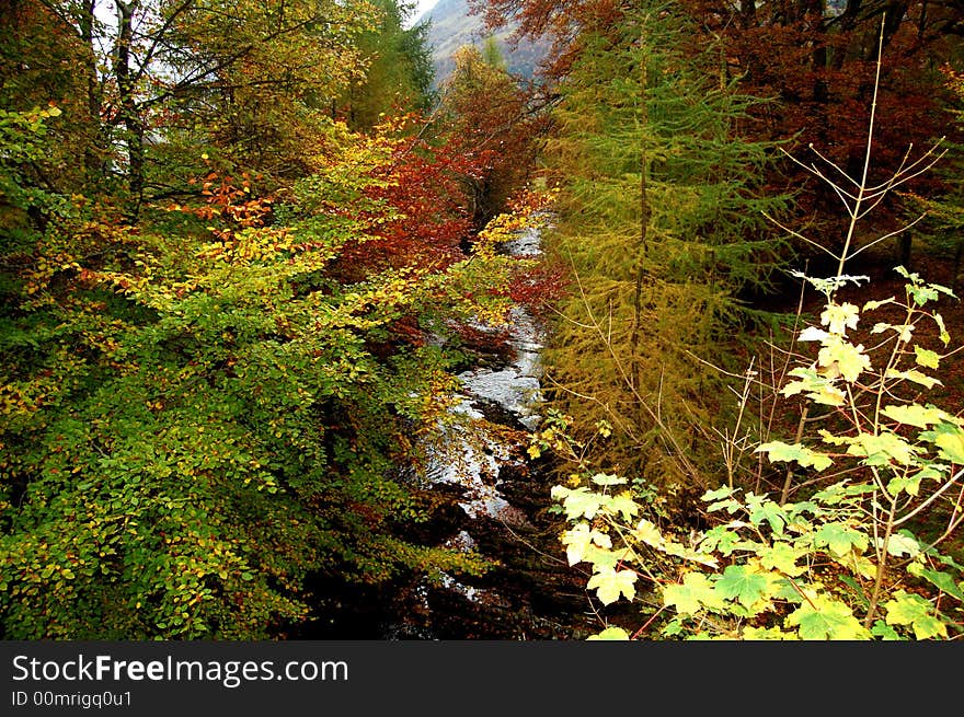 Autumn Colours, at Glen Lyon, Scotland U.K. Located in Perthshire, the glen stretches for 32 miles &#x28;51 km&#x29; and forms part of the 48,400 hectares Loch Rannoch and Glen Lyon National Scenic Area. Glen Lyon was described by Sir Walter Scott as the longest, loneliest and loveliest glen in Scotland while Wordsworth, Tennyson, Gladstone and Baden Powell have also sung its praises in the past. The River Lyon runs through the glen and tumbles through corries, gorges and riverine meadows. The pools near Bridge of Balgie are accessible, with the added benefit of parking and a little tearoom nearby. Two remote lochs &#x28;Loch Lyon and Loch an Daimh&#x29; lie in the wild upper reaches of the glen and the hauntingly beautiful remnants of the ancient Caledonian forest are also visible. Autumn Colours, at Glen Lyon, Scotland U.K. Located in Perthshire, the glen stretches for 32 miles &#x28;51 km&#x29; and forms part of the 48,400 hectares Loch Rannoch and Glen Lyon National Scenic Area. Glen Lyon was described by Sir Walter Scott as the longest, loneliest and loveliest glen in Scotland while Wordsworth, Tennyson, Gladstone and Baden Powell have also sung its praises in the past. The River Lyon runs through the glen and tumbles through corries, gorges and riverine meadows. The pools near Bridge of Balgie are accessible, with the added benefit of parking and a little tearoom nearby. Two remote lochs &#x28;Loch Lyon and Loch an Daimh&#x29; lie in the wild upper reaches of the glen and the hauntingly beautiful remnants of the ancient Caledonian forest are also visible.