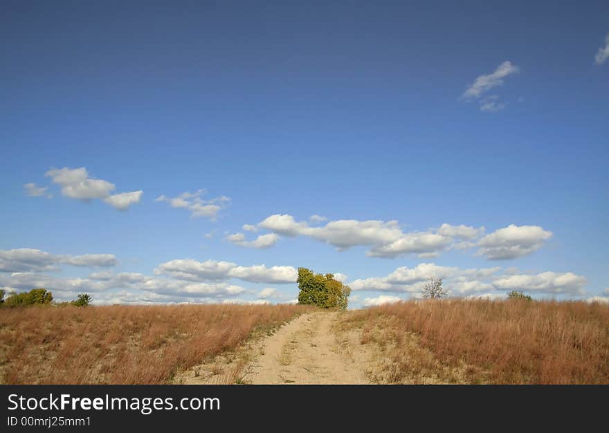 Single tree and rural road in the middle of fields