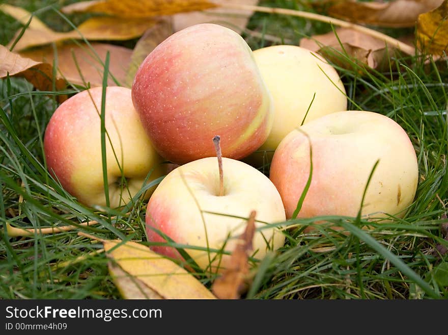 Fresh apples on the green grass