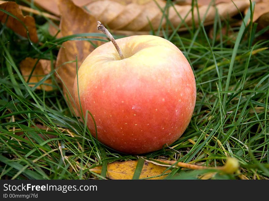 Fresh apple on the green grass