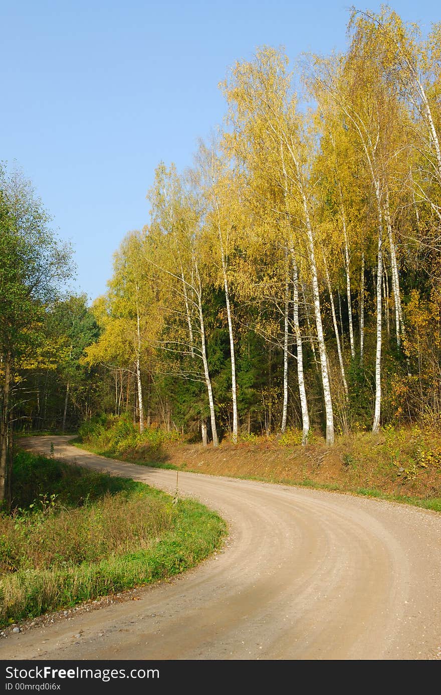 Road among an autumn wood