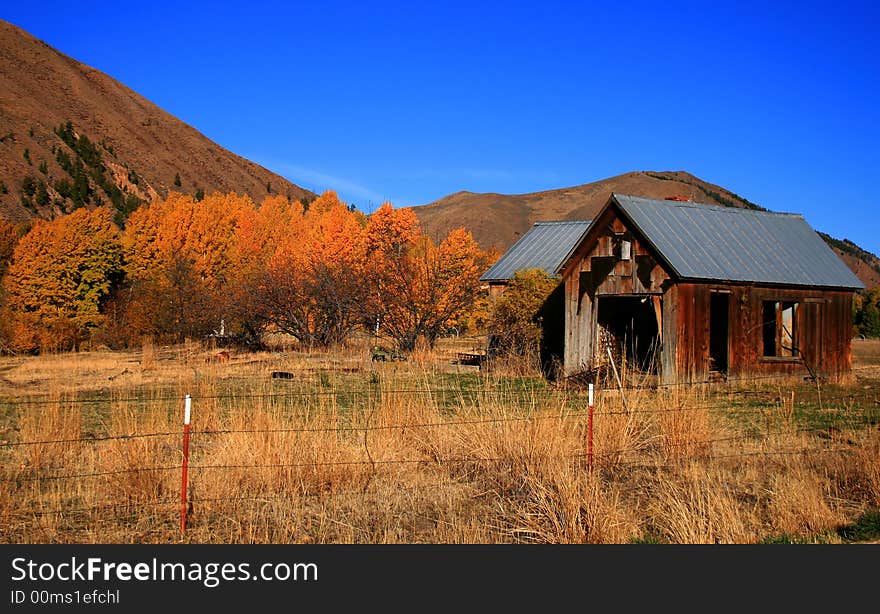 Rustic Autumn