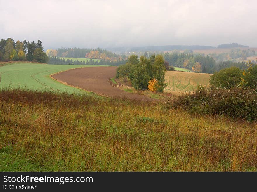 Autumn day. Fog on the field.