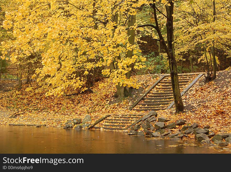 Stone stairway leading to the lake beneath yellow tree. Stone stairway leading to the lake beneath yellow tree