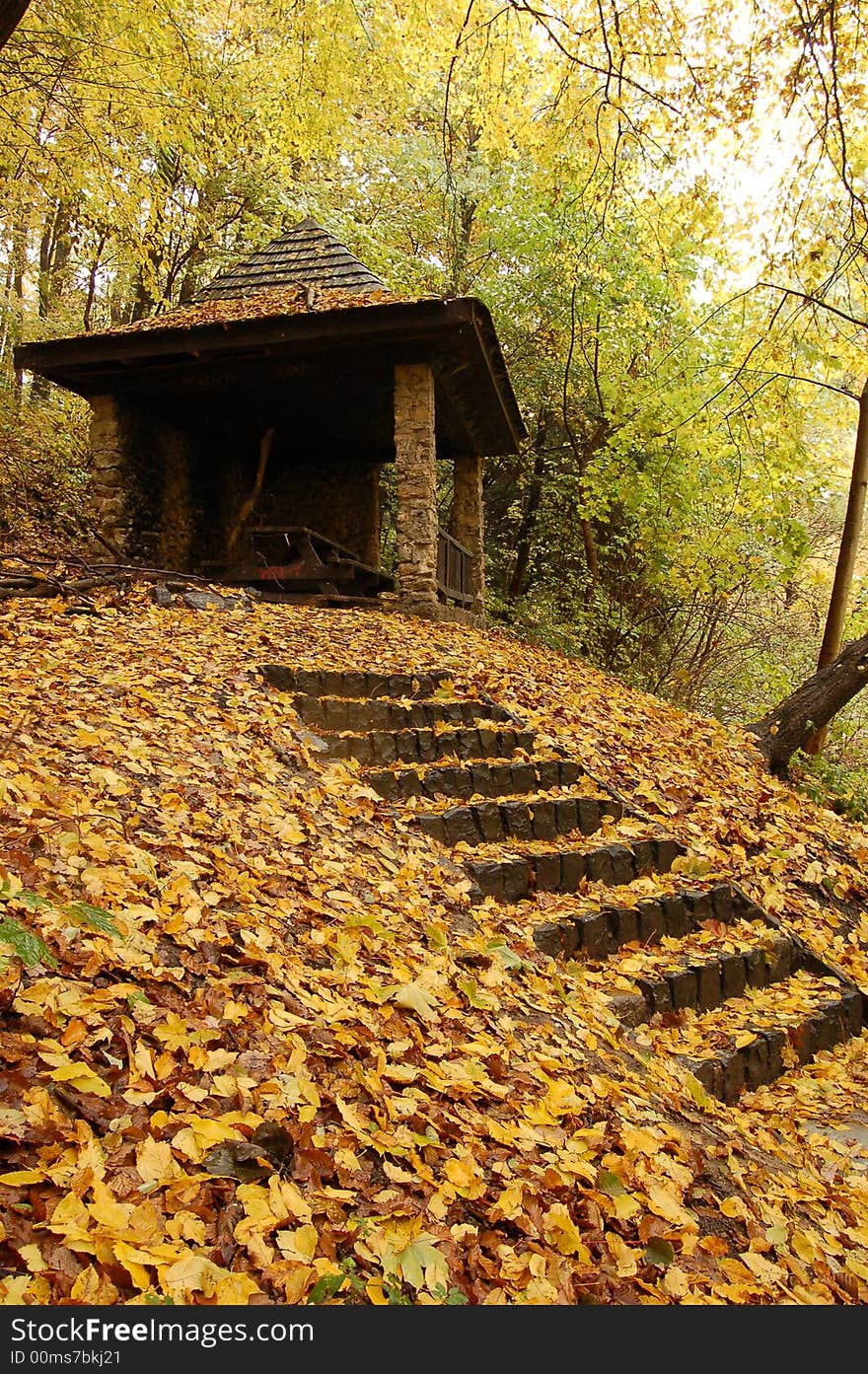 Shelter in forest with stairway. Shelter in forest with stairway