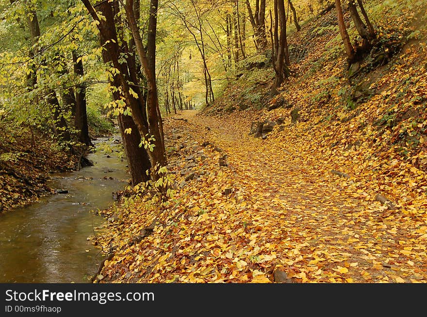 Autumn path covered with fallen leaves along the stream. Autumn path covered with fallen leaves along the stream