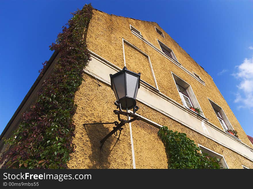 Old House With Ivy