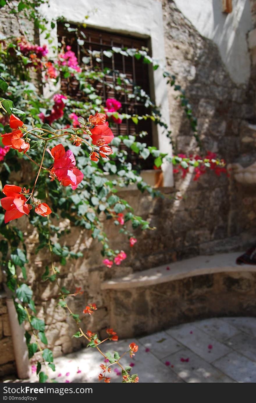 Provencal old and rusty window and agrestic flowers. Provencal old and rusty window and agrestic flowers