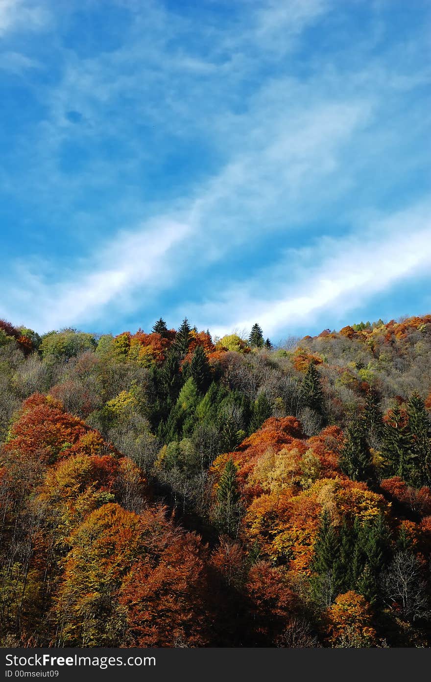 Changing colors in the Alps during early Fall; Italy. Changing colors in the Alps during early Fall; Italy.