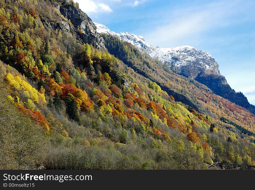 Mountain autumn scenic