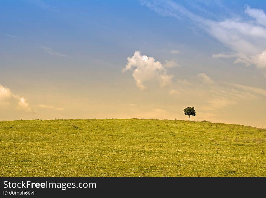 Tuscan country