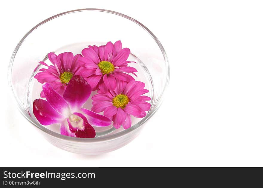 Bowl of pretty pink flowers floating in a bowl of water.