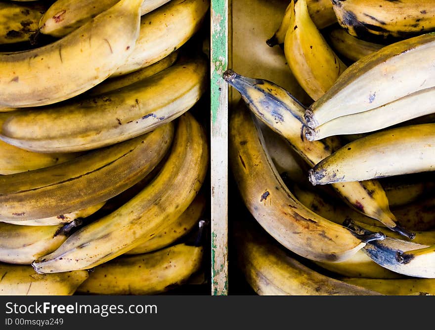 A group of rotten bananas