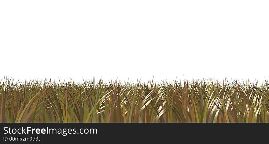 Wire grass on white background