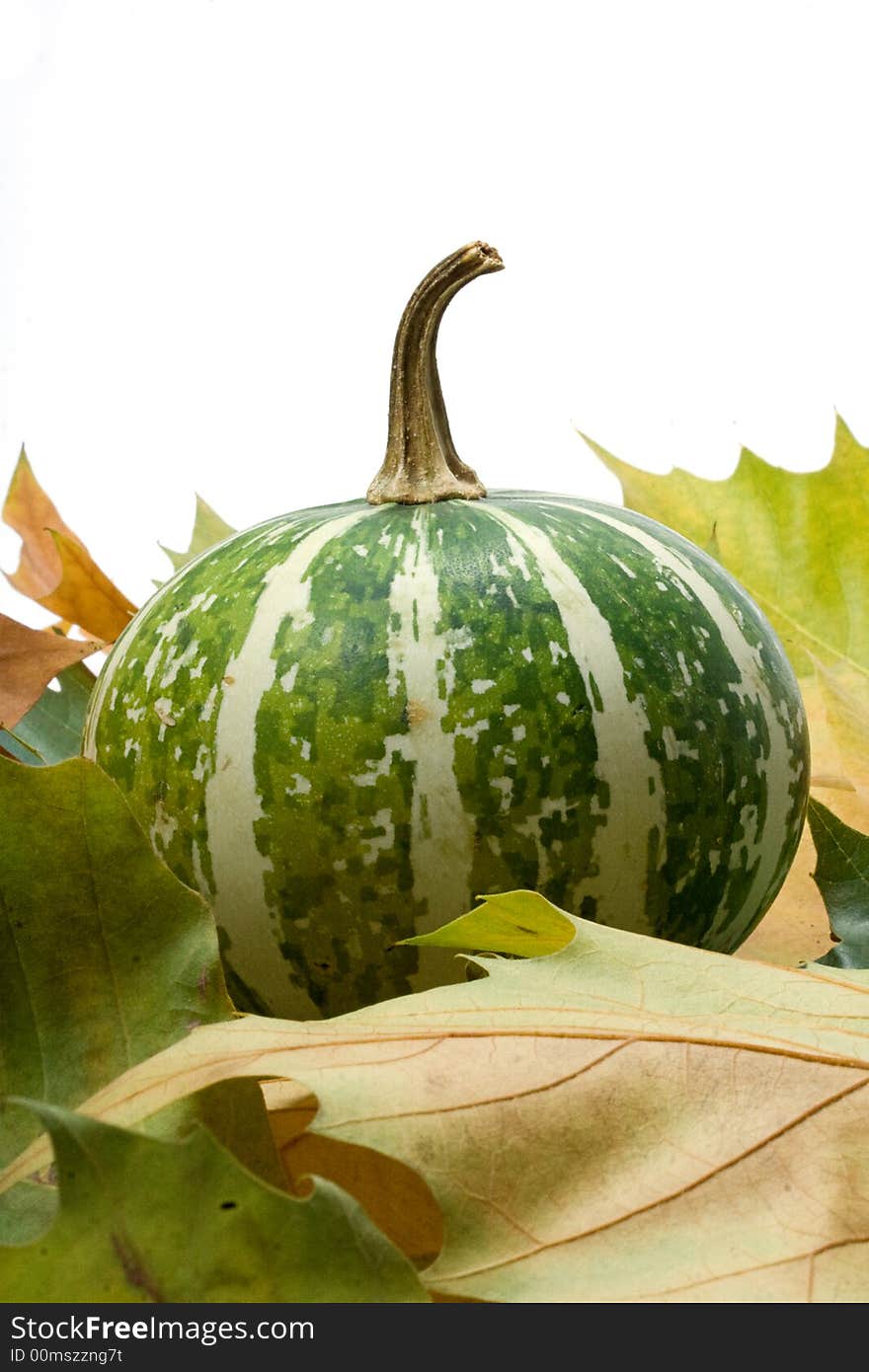 Pumpkin isolated with reflection