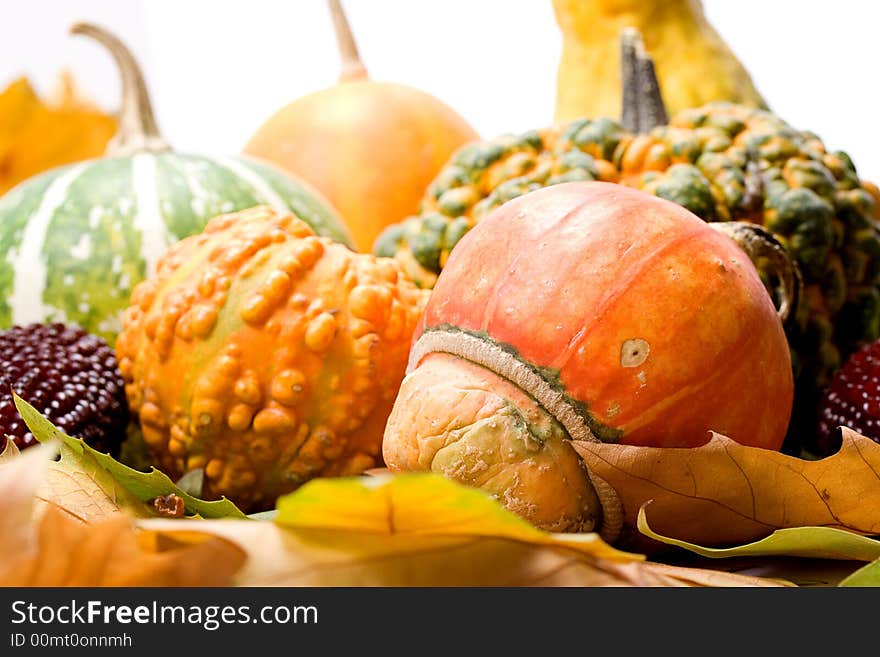 Fruits leaves and vegetables isolated on white