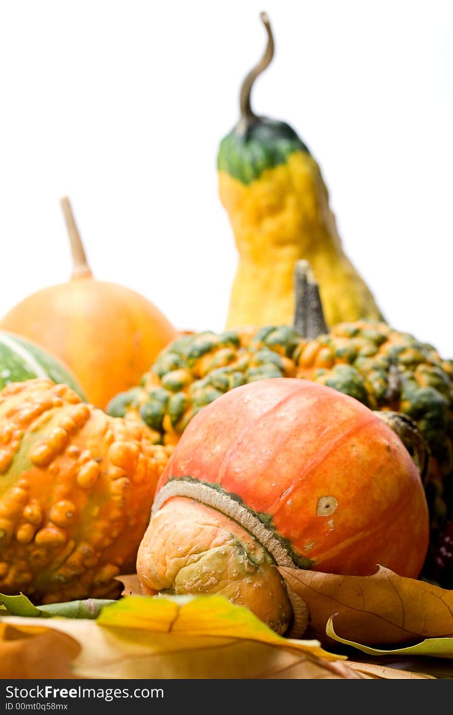 Fruits Leaves And Vegetables