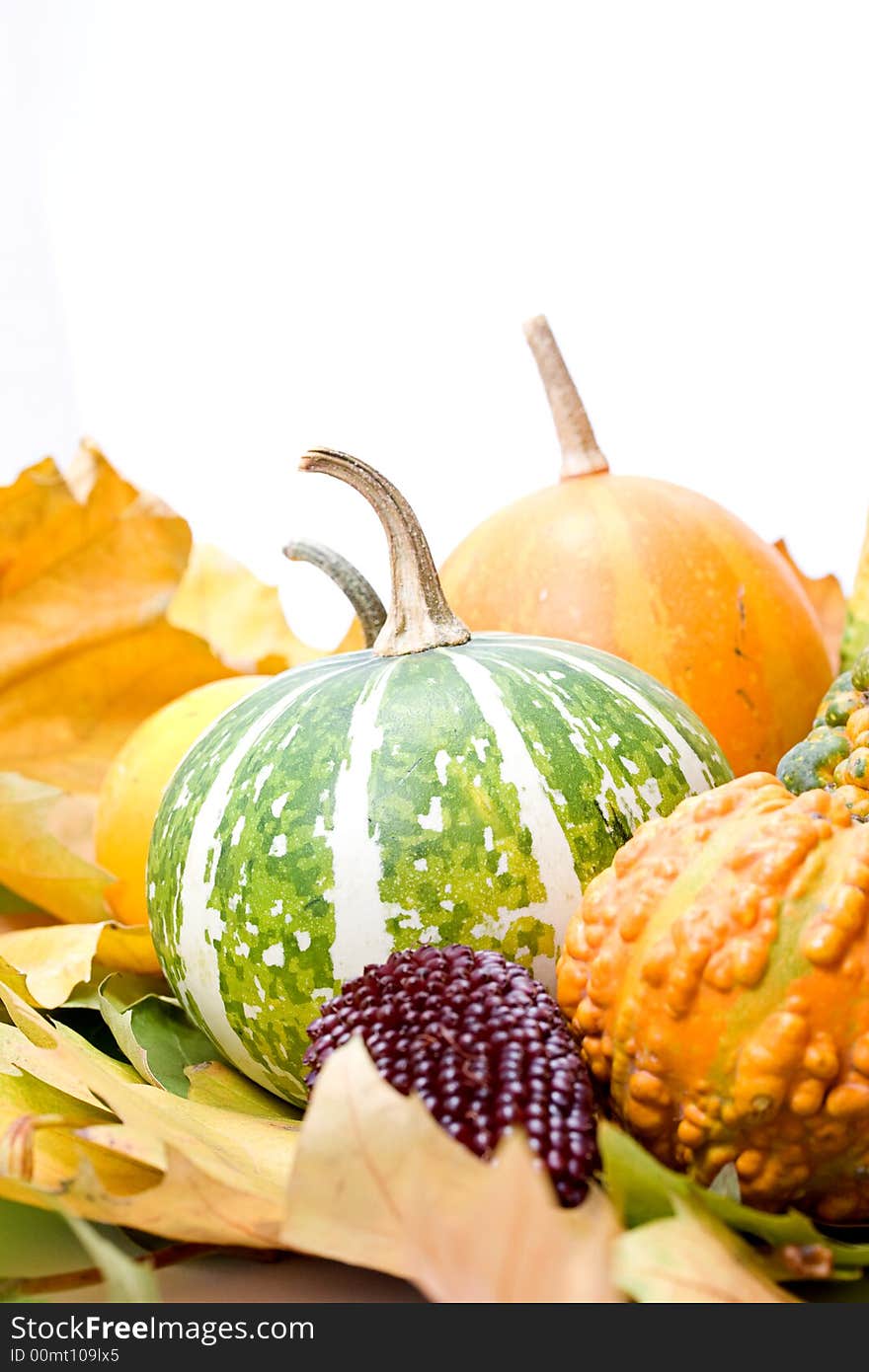 Fruits leaves and vegetables