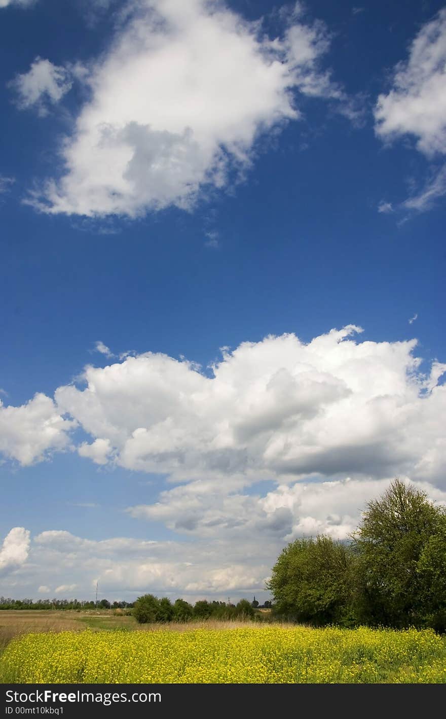 Summer landscape with the clouds. Summer landscape with the clouds