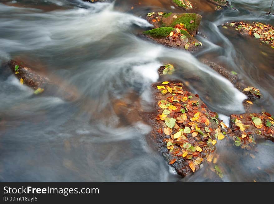 Amongst river