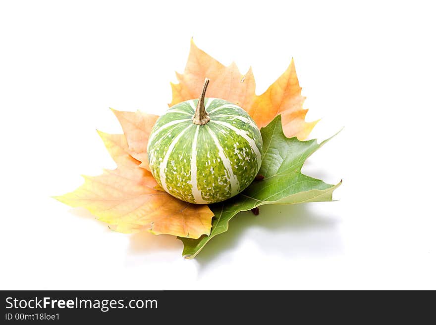 Autumn composition isolated on white