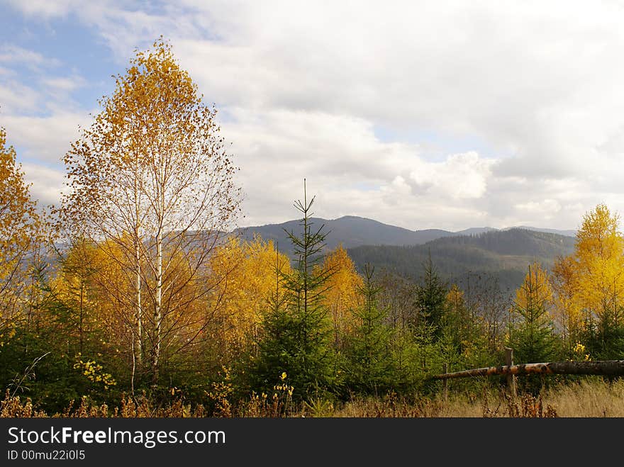 Late Autumn in Carpathian mountains