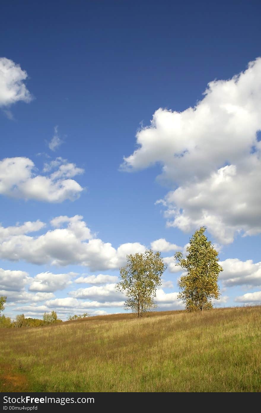 TreeS in the Dry grass lands during early autumn time. TreeS in the Dry grass lands during early autumn time