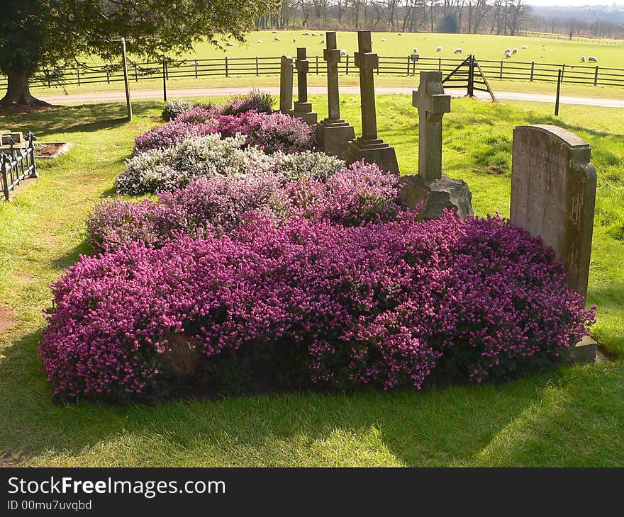 Headstones and Heather