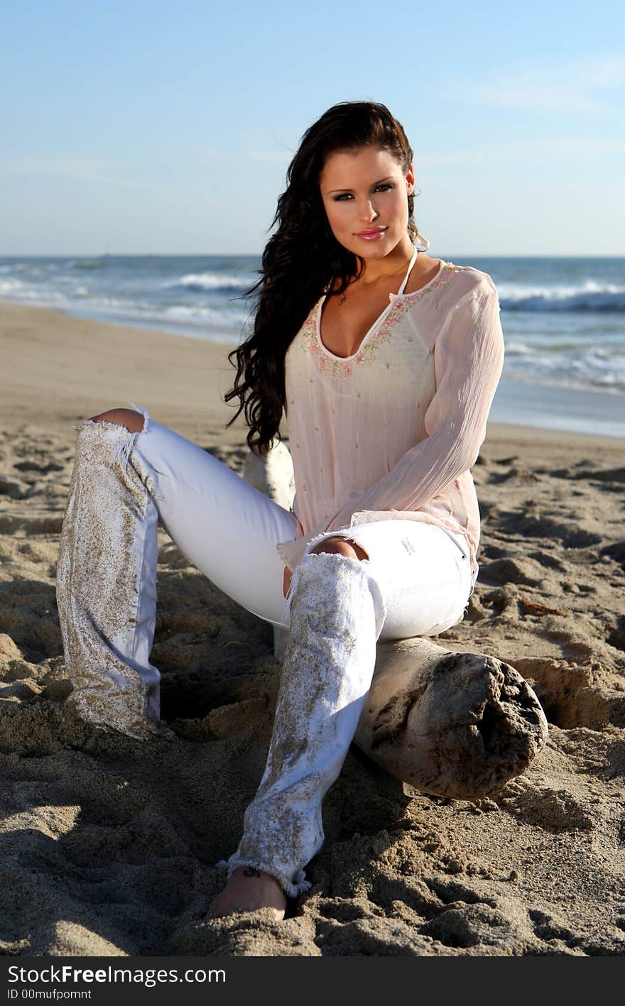 Beautiful woman sitting on a log at the beach. Beautiful woman sitting on a log at the beach