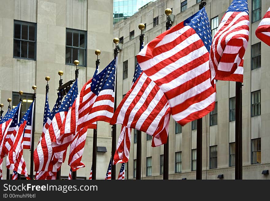 A Row Of American Flags