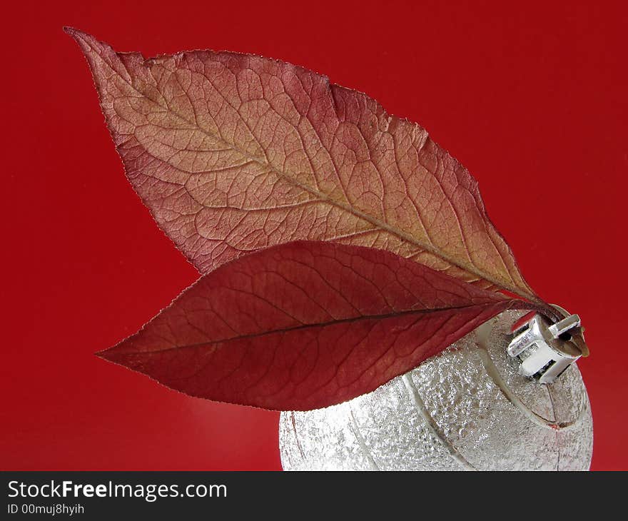 Christmas ornaments with bauble and dry autumnal foliage. Christmas ornaments with bauble and dry autumnal foliage