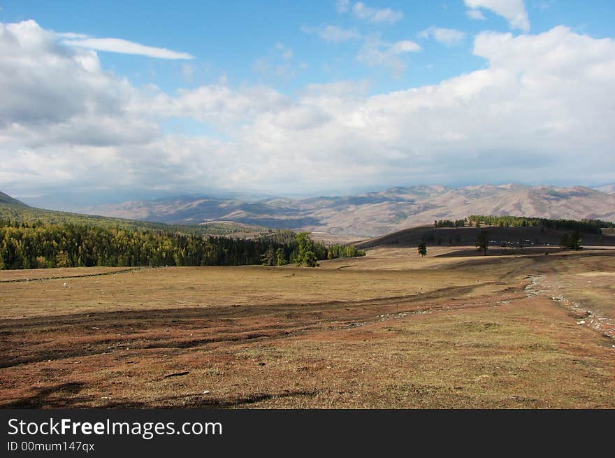 Wide grassland under blue sky, mountains in distance