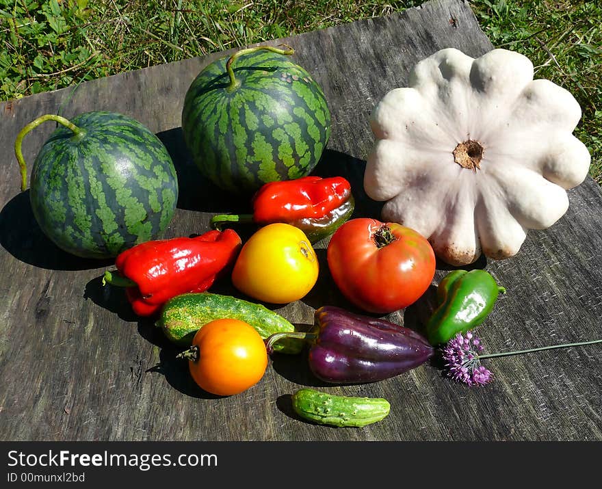 A close-up of the fresh different vegetables from garden. Russian Far East, Primorye. A close-up of the fresh different vegetables from garden. Russian Far East, Primorye.