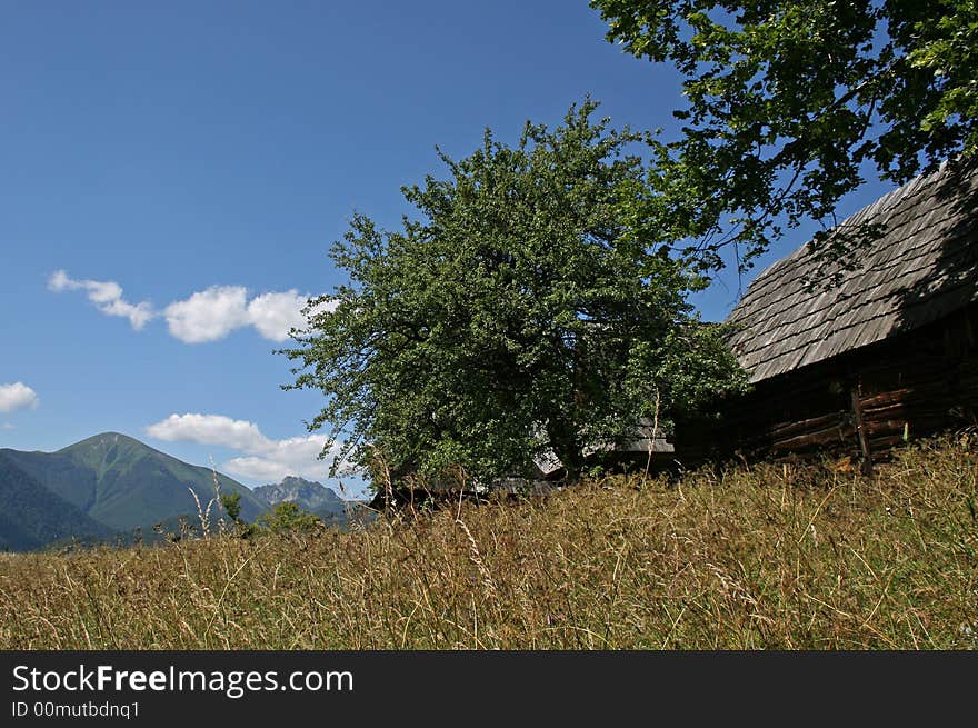 Windless summer afternoon