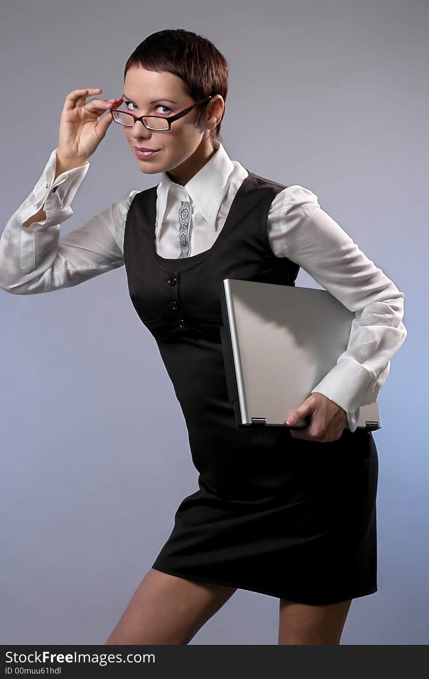 The business woman with a computer