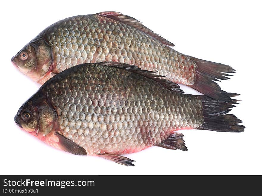 Carps. Image series of different food on white background