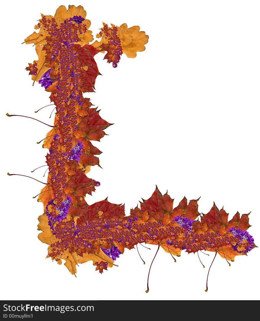 Maple and oak leaf frame. +purple flowers. Maple and oak leaf frame. +purple flowers