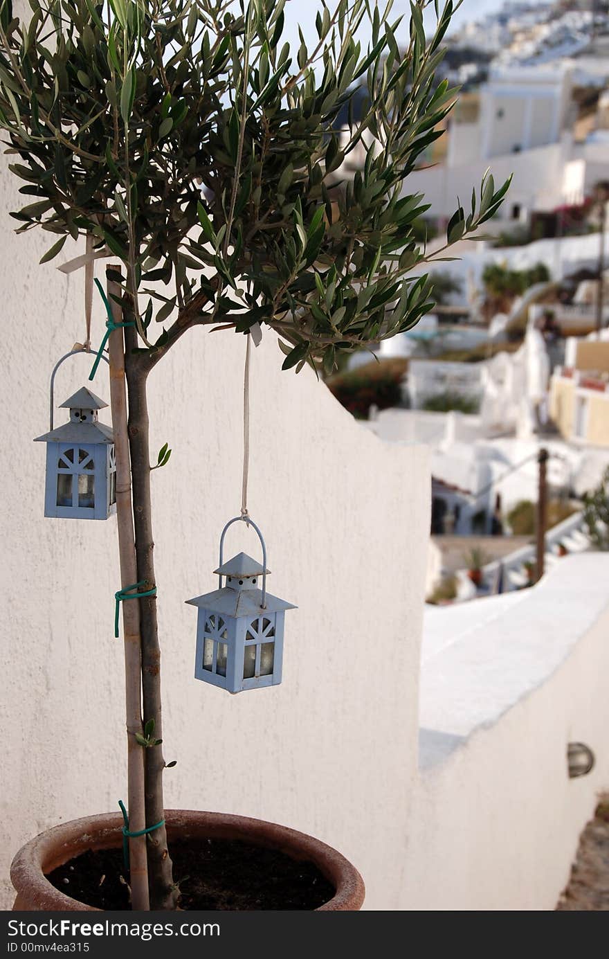 Two little blue bird houses in an olive tree. Two little blue bird houses in an olive tree