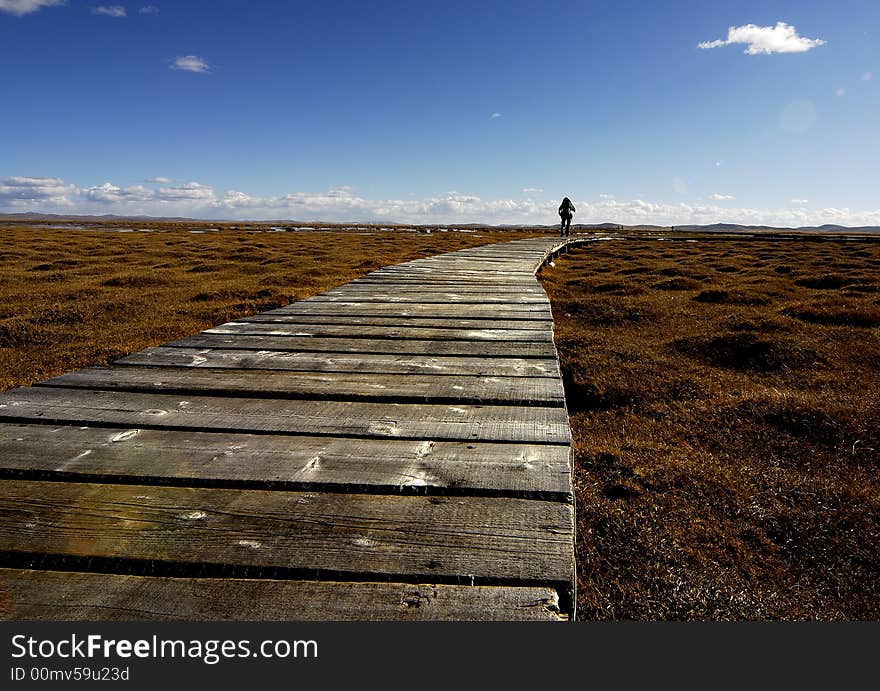 A wooden deck bridge link to a lake. A wooden deck bridge link to a lake